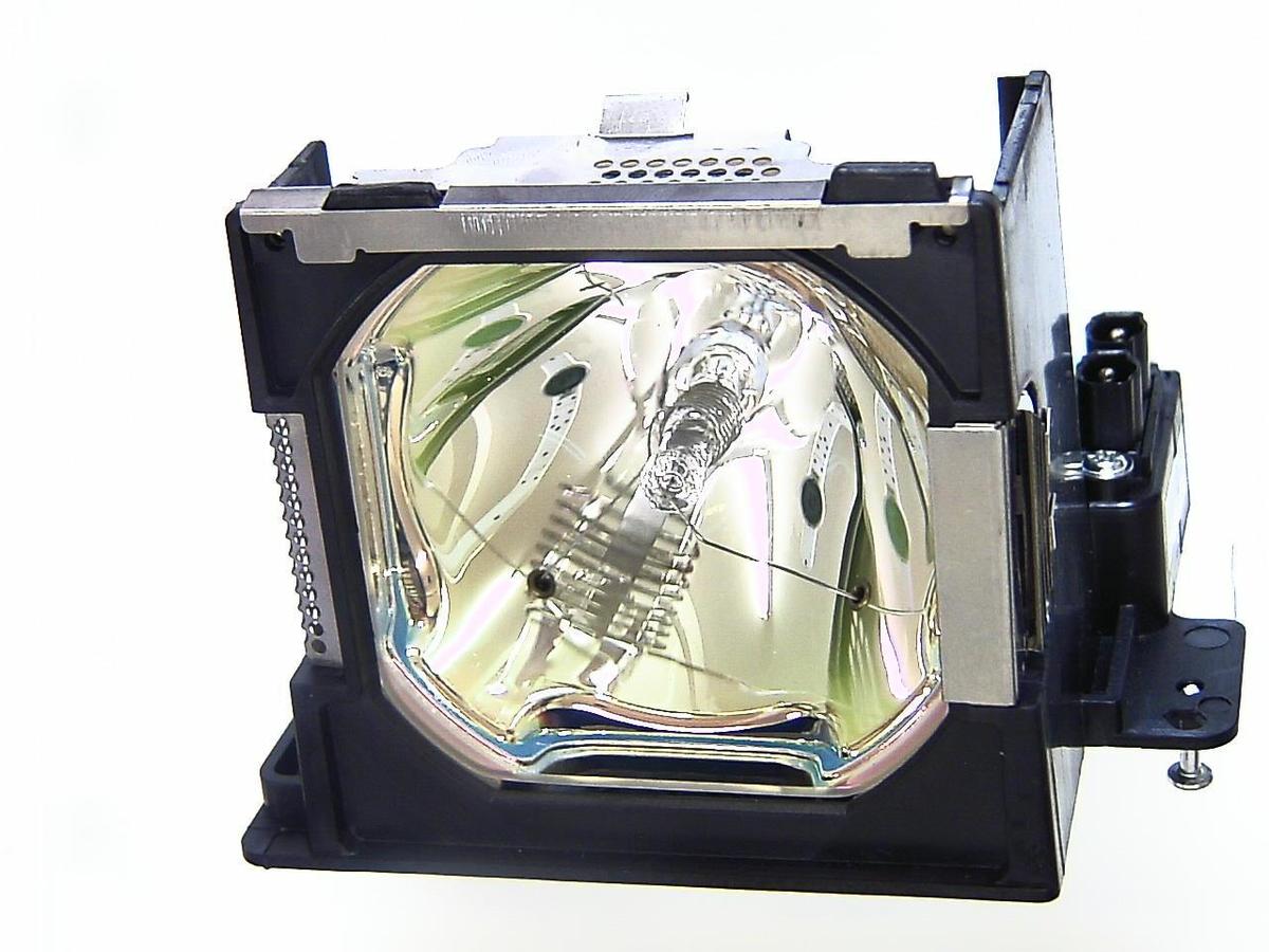 Jersige Proiettore Di Luci Natalizie Per Esterni – Effetto Laser Dinamico